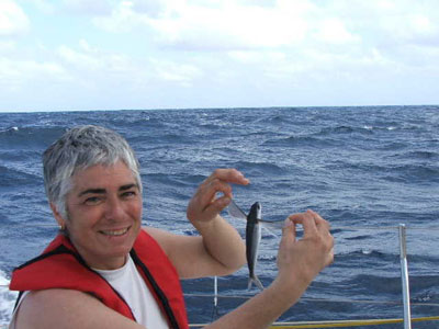 Poisson volant