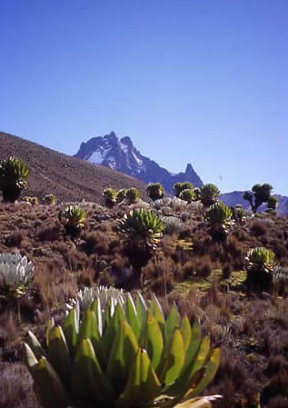 La Taleki Valley