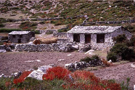 A Dingboche