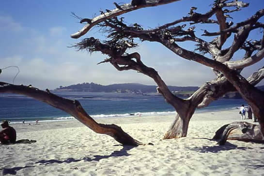 Carmel, l'Oceano Pacifico